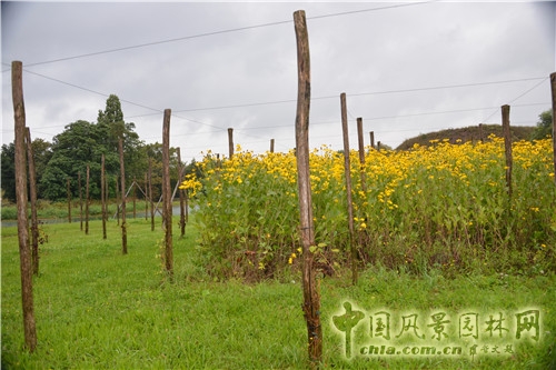 島嶼生態(tài)公園