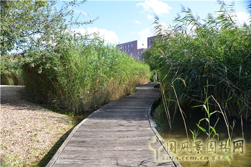 法國南泰爾市Chemin公園