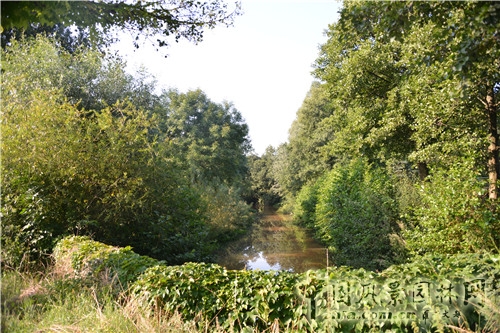 漢堡生態示范社區