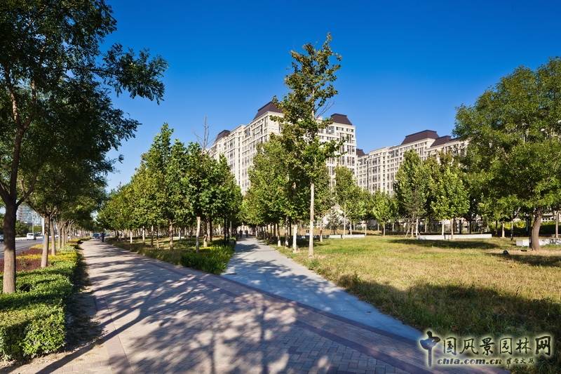 笛東聯(lián)合 規(guī)劃設(shè)計(jì) 西斯萊公館