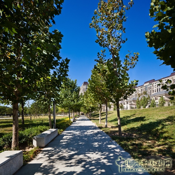 笛東聯合 規劃設計 西斯萊公館