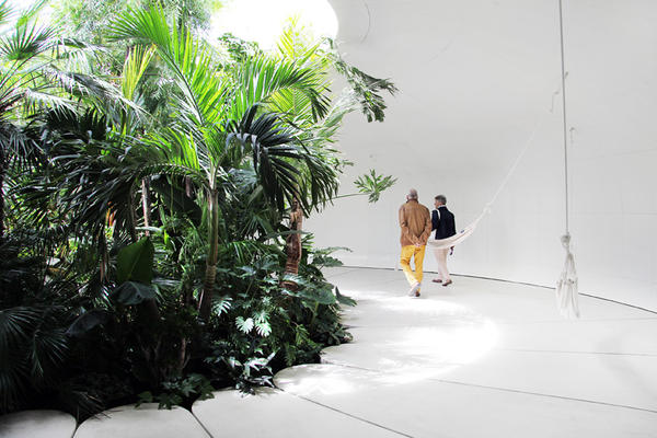 隱藏在巨大草坡內的熱帶雨林風情