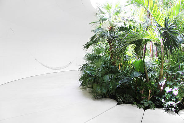 隱藏在巨大草坡內的熱帶雨林風情