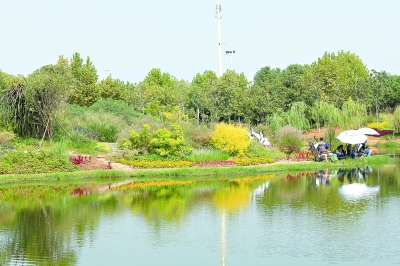 黃家湖公園河畔上,1500平方米水生植物組成武漢首個“水上花境”