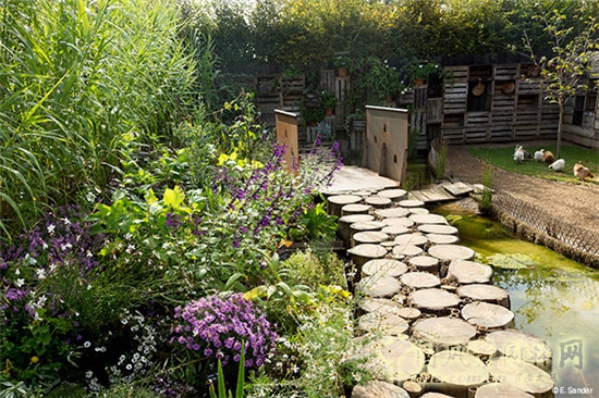 LE JARDIN DES POULES