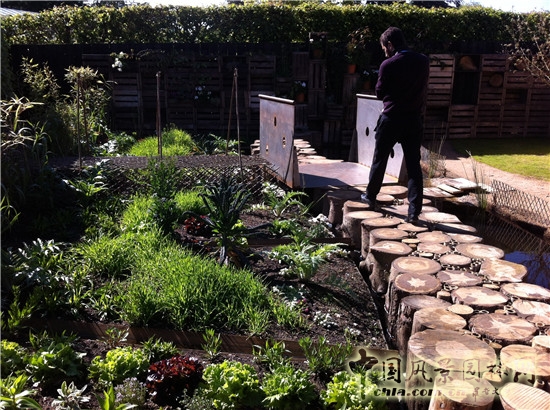 LE JARDIN DES POULES