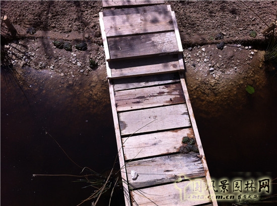 LE JARDIN DES POULES