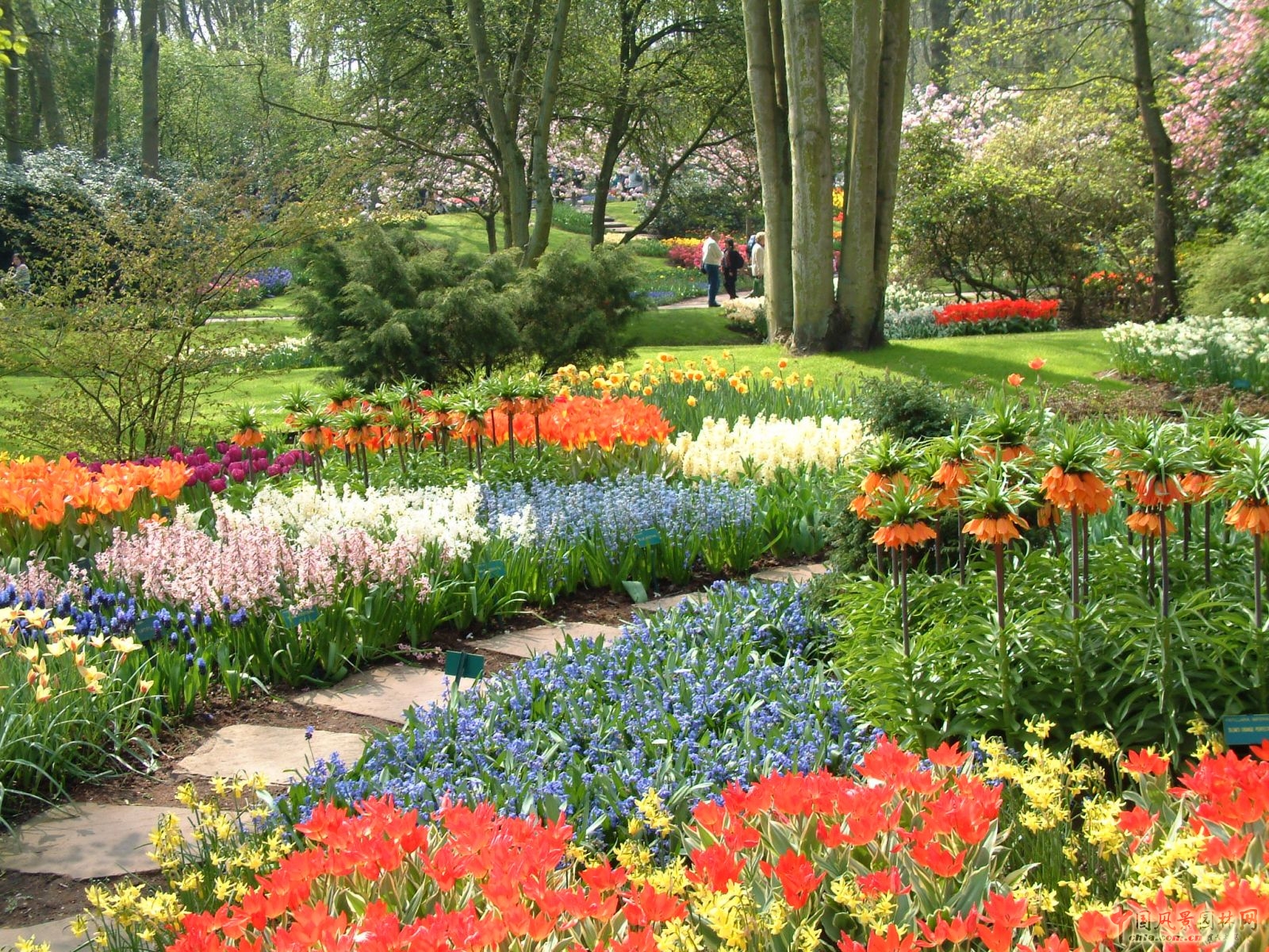 明快色彩是關鍵