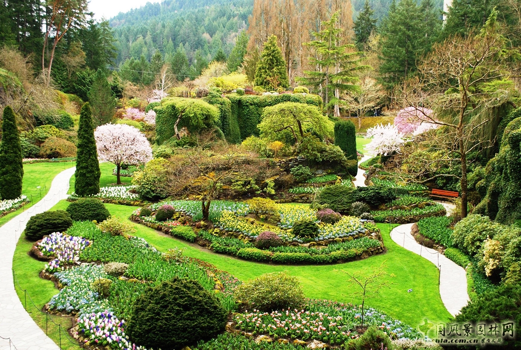 生動景觀讓花園更立體