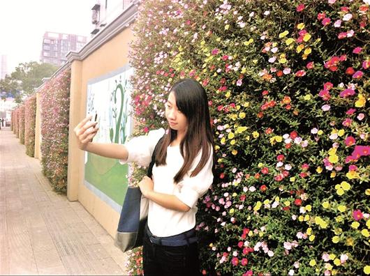 圍墻變身鮮花景觀墻