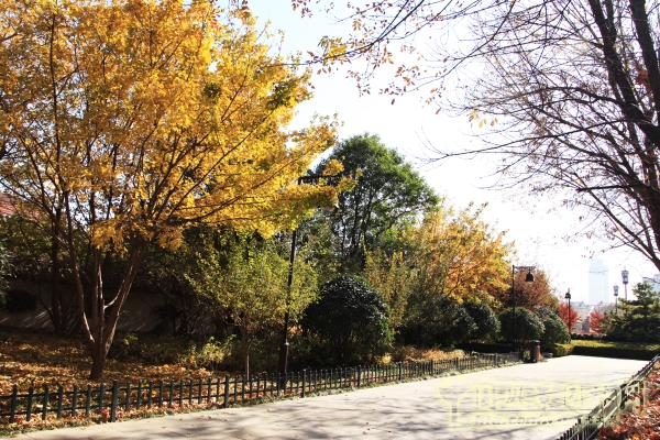 大明湖風(fēng)景名勝區(qū)