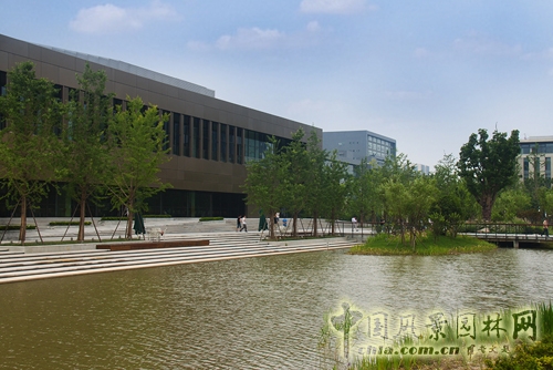 華為杭州生產基地 景觀工程 屋頂綠化