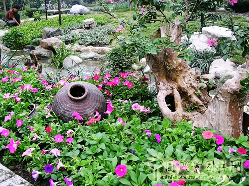 諧苑 花漫錢塘 浙江園 花博會