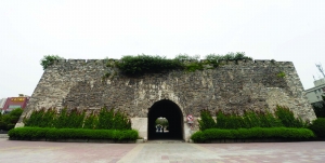 南京明城墻“清綠”不再一刀切 保留三類植物