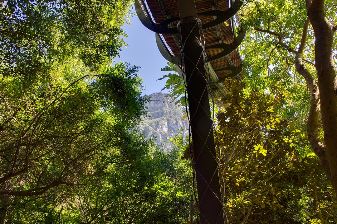 “樹冠走廊”引領(lǐng)人們來到樹冠高度,欣賞平時幾乎無法領(lǐng)略到的獨特的生態(tài)景象。在這里,人們可以從高處體驗森林、可以看到地面視野無法捕捉到的鳥類和其他動物、可以欣賞樹木隨風搖曳的動態(tài)景象、還可以看到樹冠相交的情景。橋梁沖破樹木,飛躍樹梢,帶來樹頂觀景的非凡感受,展現(xiàn)了開普敦城市和周圍雄偉山脈的360度全景景觀。