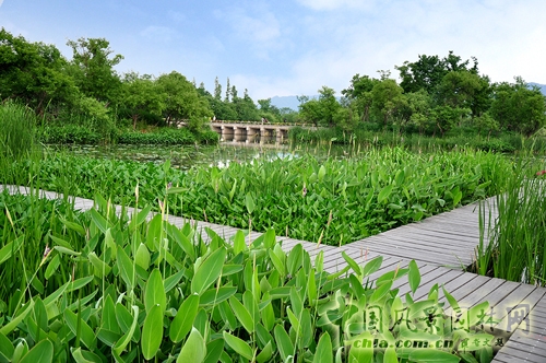 杭州西溪國(guó)家濕地公園