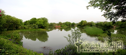 杭州西溪國(guó)家濕地公園