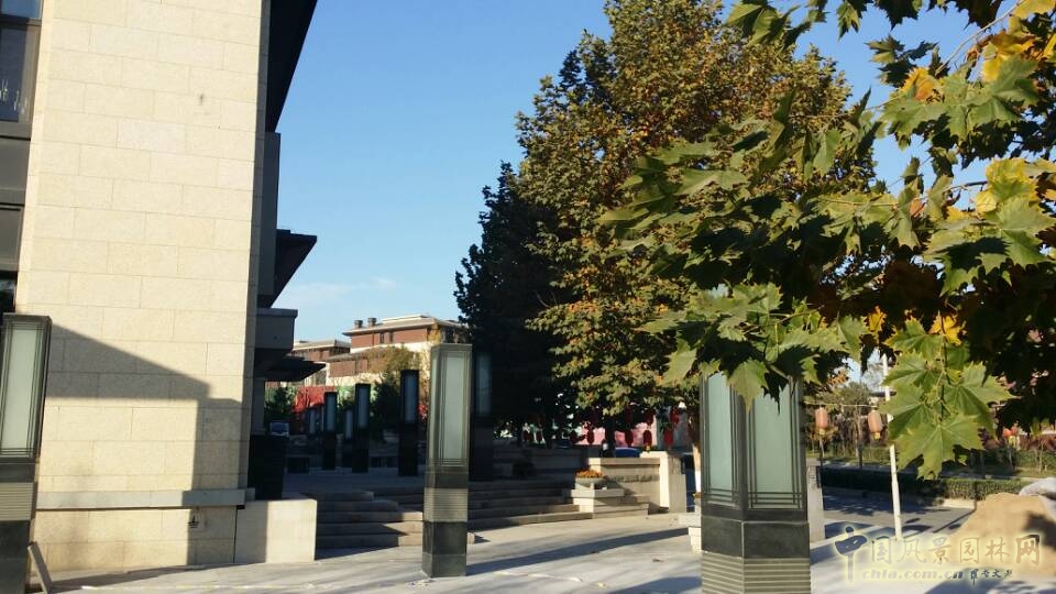 園冶杯 住宅景觀獎(jiǎng) 天開(kāi)園林