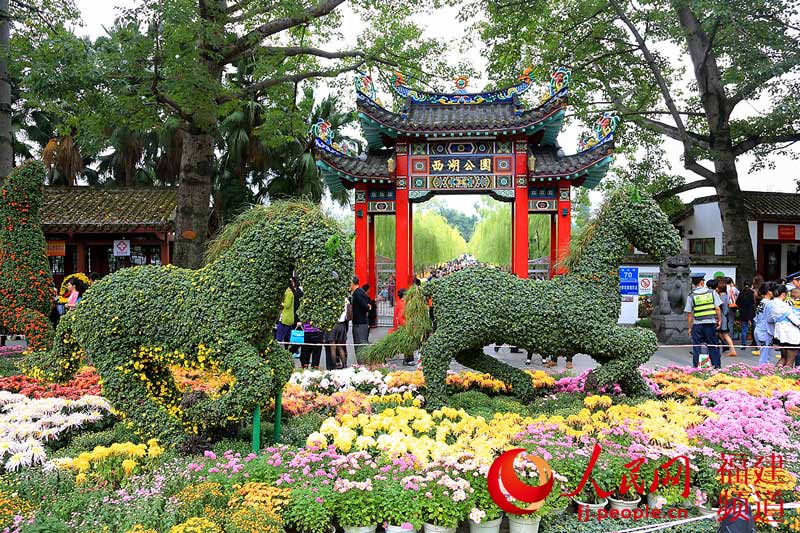 西湖公園菊展創(chuàng)歷屆規(guī)模之最 首次亮相大型造型藝菊