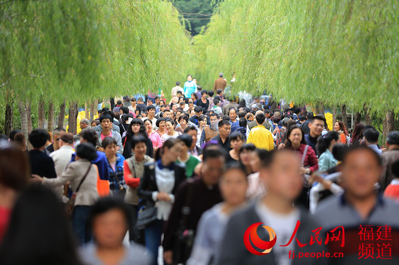 西湖公園菊展創(chuàng)歷屆規(guī)模之最 首次亮相大型造型藝菊