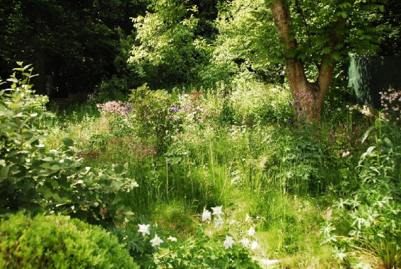 雪花蓮別墅花園