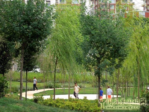 Akasya Acibadem中央公園