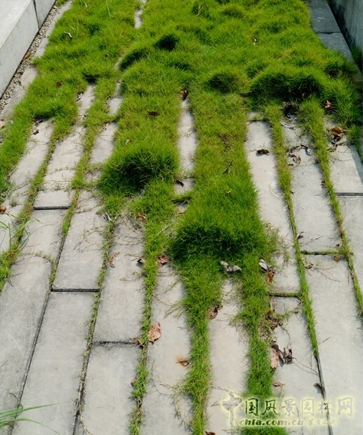 萬科研發(fā)中心