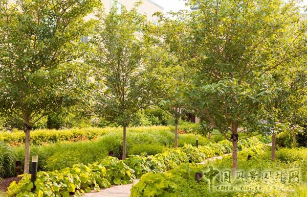 美國馬里蘭州北貝塞斯達廣場