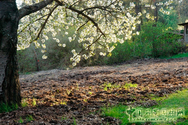 德國勃蘭登堡州ZEGG生態村