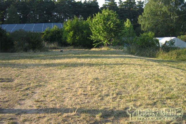 德國勃蘭登堡州ZEGG生態村