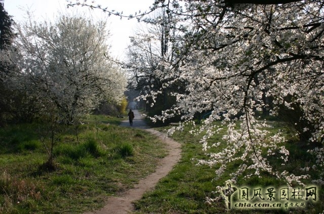 德國勃蘭登堡州ZEGG生態(tài)村