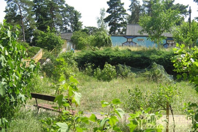 德國勃蘭登堡州ZEGG生態村