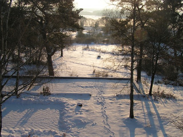 德國勃蘭登堡州ZEGG生態村