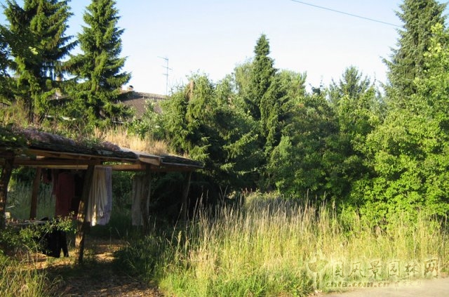 德國勃蘭登堡州ZEGG生態村