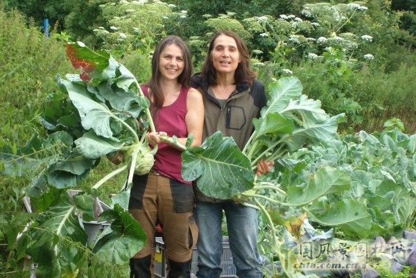 德國勃蘭登堡州ZEGG生態(tài)村