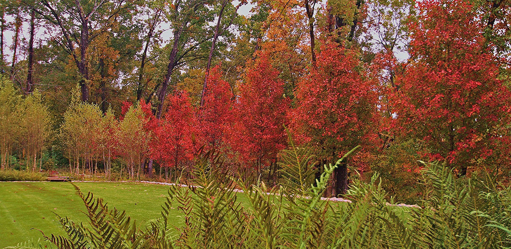 雨水花園設(shè)計(jì)