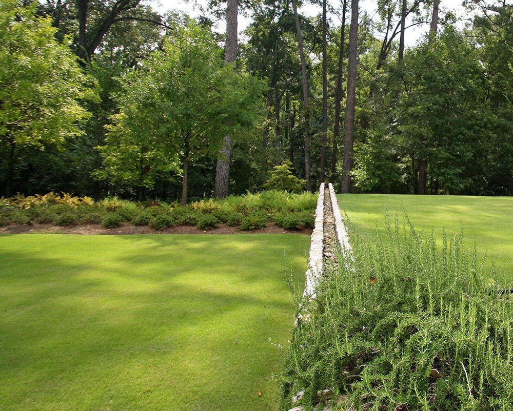 雨水花園設(shè)計