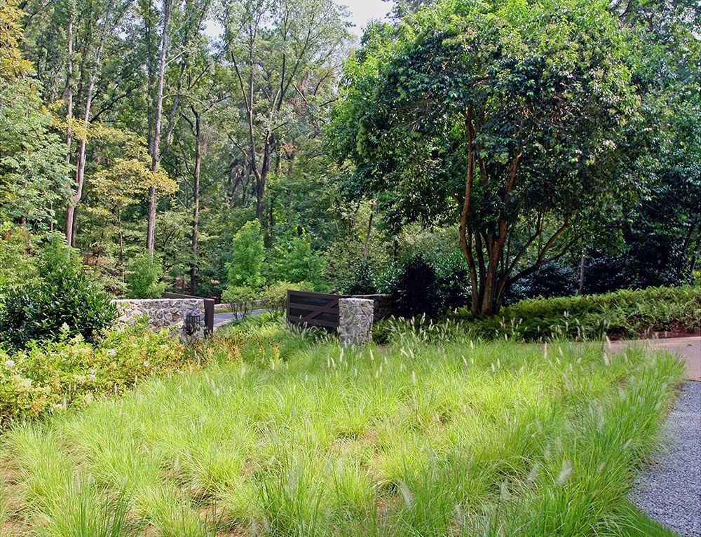 雨水花園設(shè)計