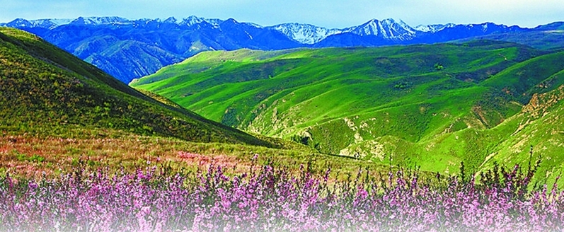 巴爾魯克山國家級自然保護區景色。