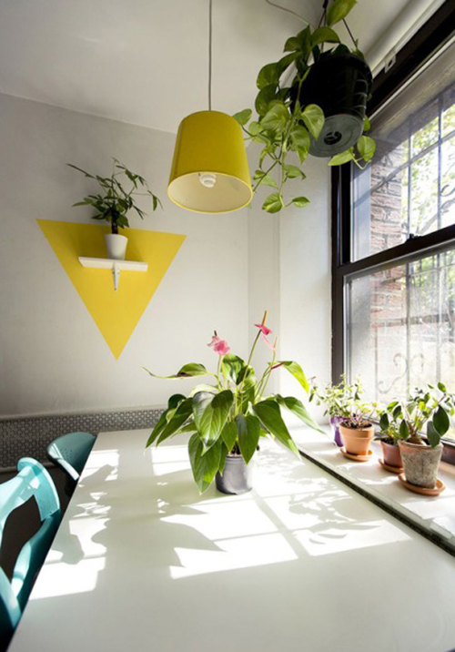 今年冬天的室內裝飾 必須給房間加點觀葉綠色植物！