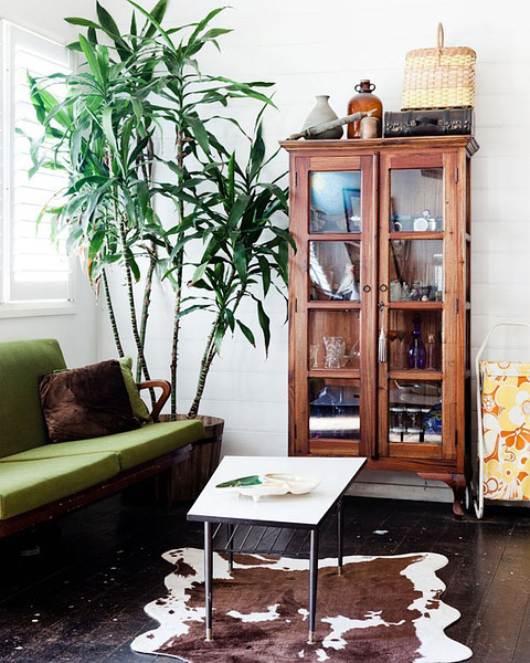 今年冬天的室內裝飾 必須給房間加點觀葉綠色植物！