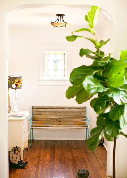 今年冬天的室內裝飾 必須給房間加點觀葉綠色植物！