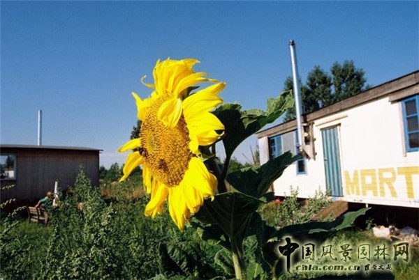 低碳生活——德國Sieben Linden生態村