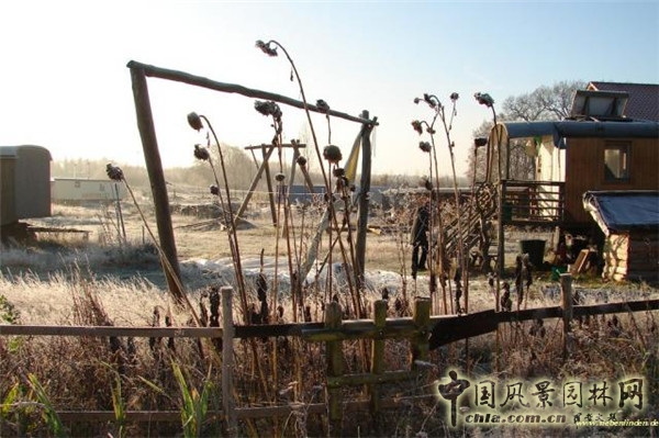 低碳生活——德國Sieben Linden生態村