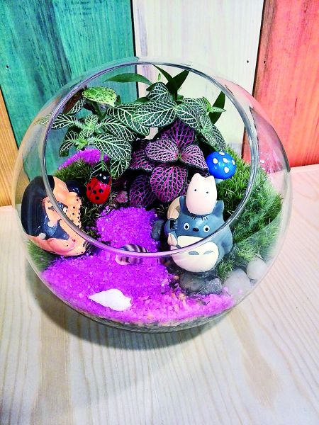 微景觀 多肉植物 園藝師 生態(tài)瓶