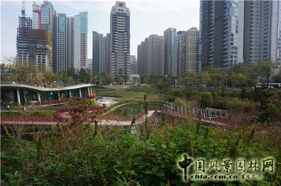 秋紅谷生態公園