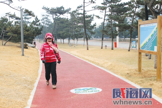綠道建設 危害 園林管理