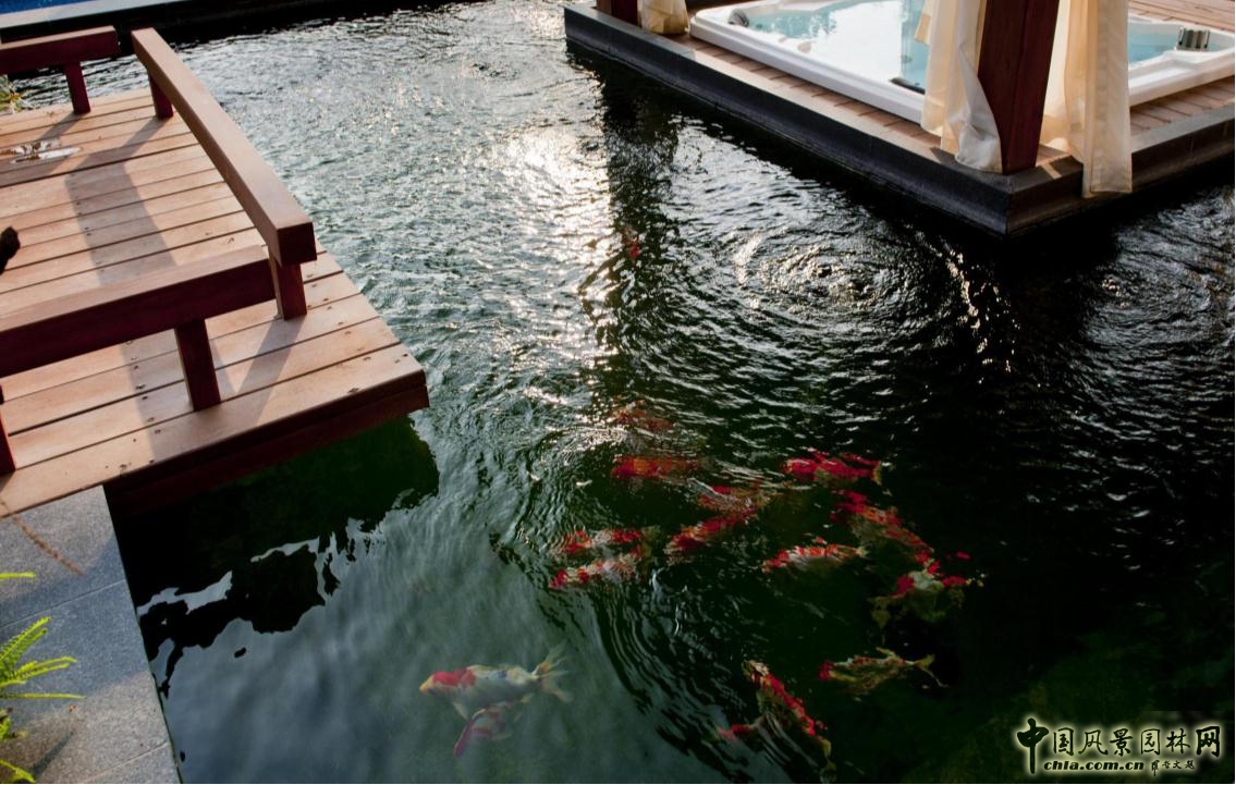 精品園林獎金獎東正頤年園