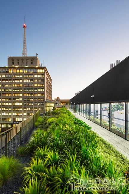 悉尼科技大學校友綠地