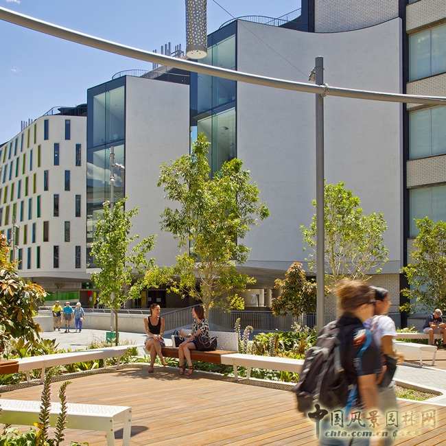 悉尼科技大學(xué)校友綠地